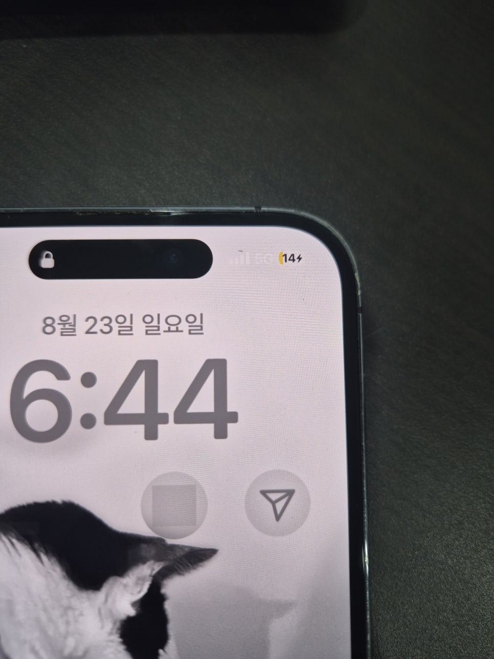 이미지 5