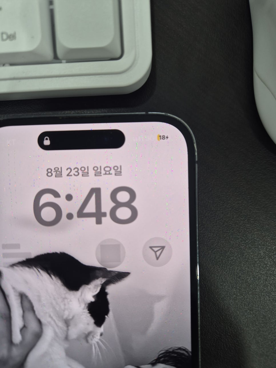 이미지 6