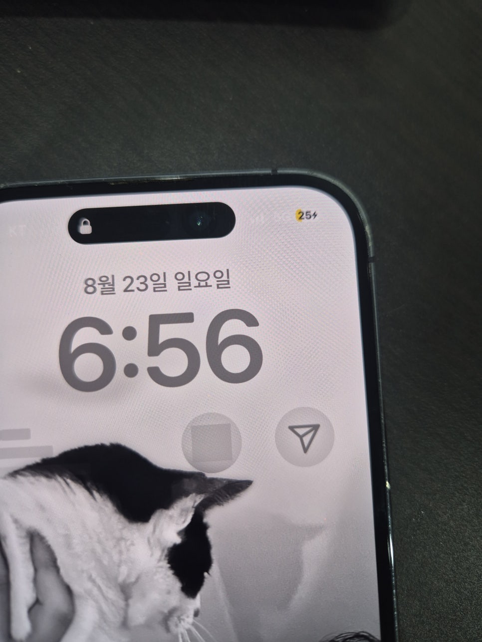 이미지 7