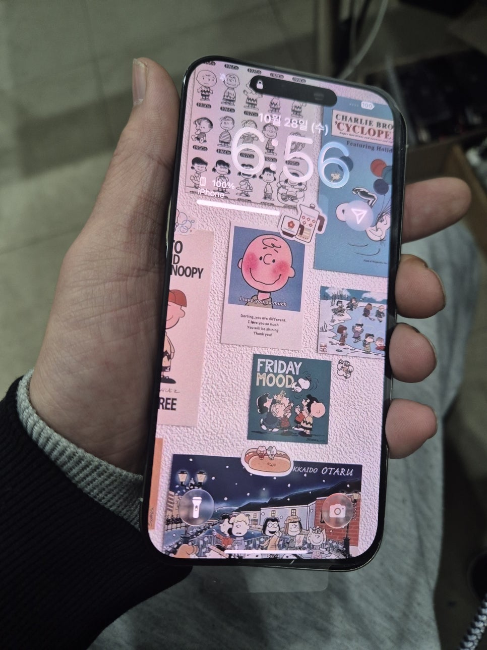 이미지 5